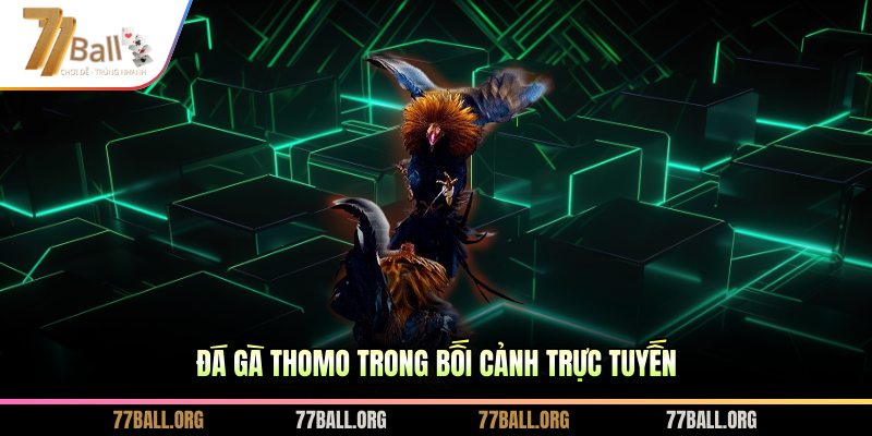 Đá gà Thomo trong bối cảnh trực tuyến