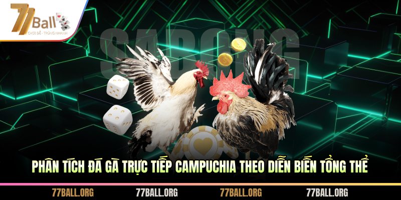 Phân tích đá gà trực tiếp Campuchia theo diễn biến tổng thể