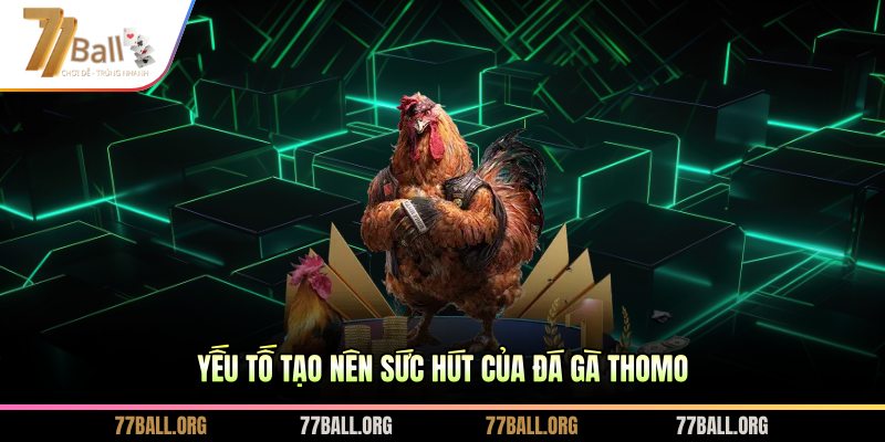 Yếu tố tạo nên sức hút của đá gà Thomo